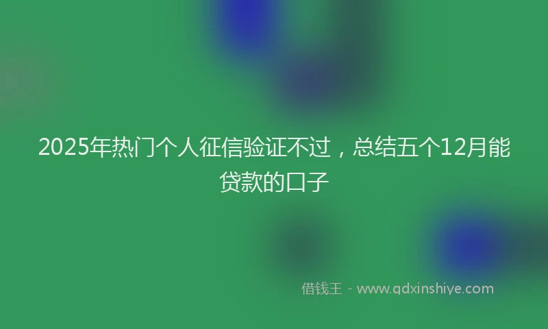 2025年热门个人征信验证不过，总结五个12月能贷款的口子