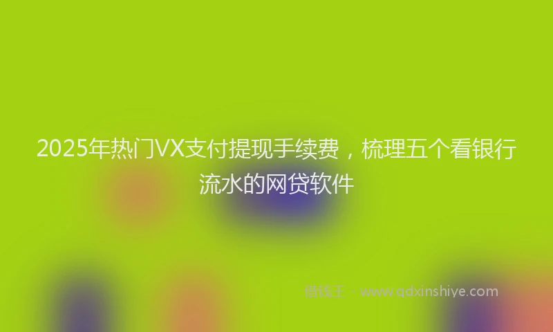 2025年热门VX支付提现手续费，梳理五个看银行流水的网贷软件