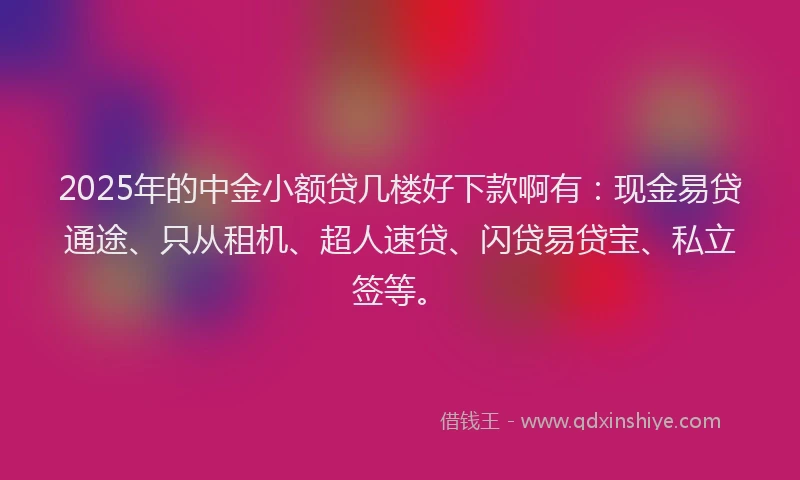 2025年的中金小额贷几楼好下款啊有：现金易贷通途、只从租机、超人速贷、闪贷易贷宝、私立签等。