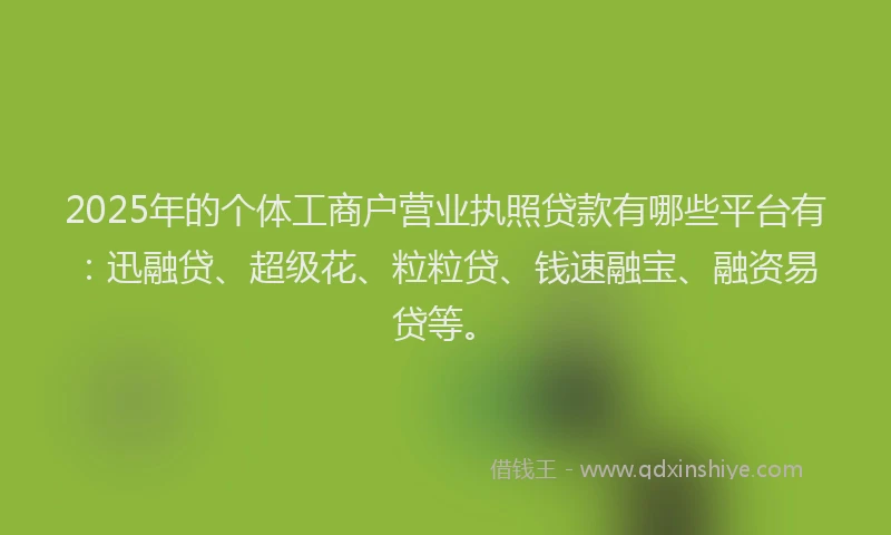 2025年的个体工商户营业执照贷款有哪些平台有：迅融贷、超级花、粒粒贷、钱速融宝、融资易贷等。