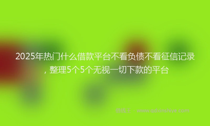 2025年热门什么借款平台不看负债不看征信记录，整理5个5个无视一切下款的平台