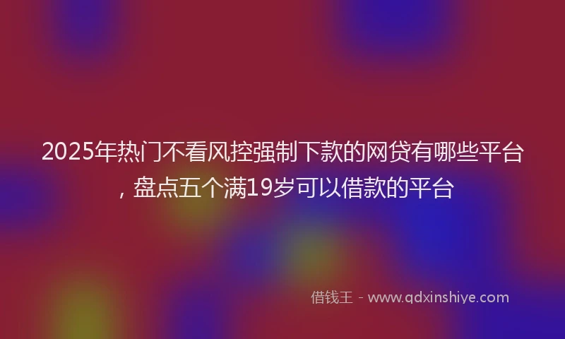 2025年热门不看风控强制下款的网贷有哪些平台，盘点五个满19岁可以借款的平台