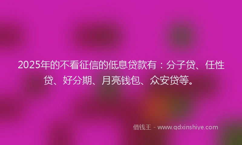 2025年的不看征信的低息贷款有：分子贷、任性贷、好分期、月亮钱包、众安贷等。