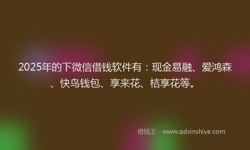 2025年的下微信借钱软件有：现金易融、爱鸿森、快鸟钱包、享来花、桔享花等。