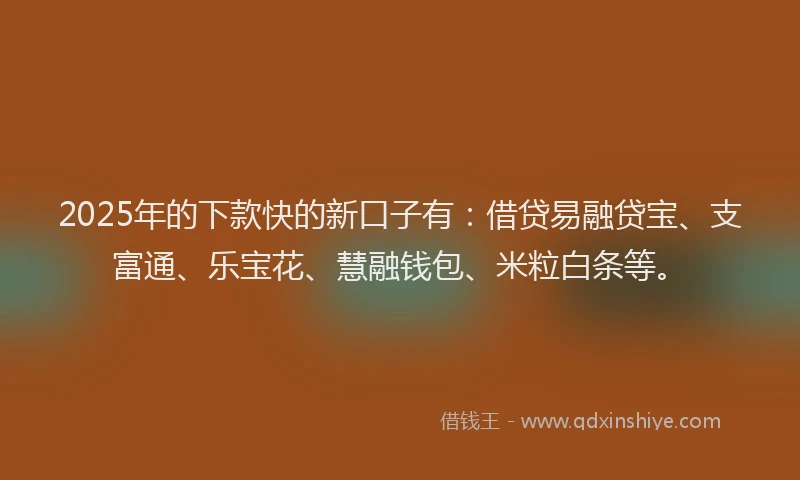 2025年的下款快的新口子有：借贷易融贷宝、支富通、乐宝花、慧融钱包、米粒白条等。