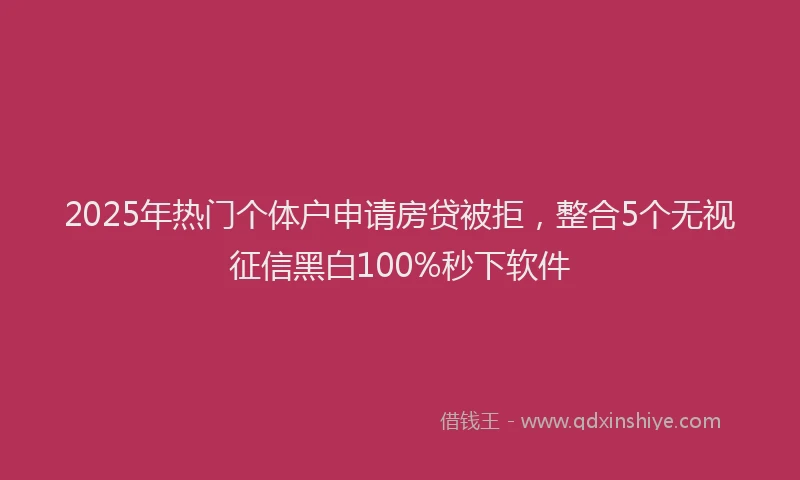 2025年热门个体户申请房贷被拒，整合5个无视征信黑白100%秒下软件