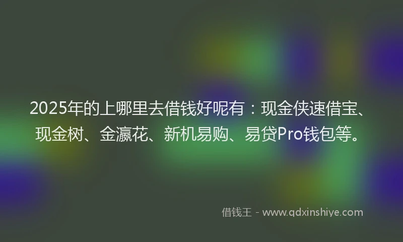 2025年的上哪里去借钱好呢有：现金侠速借宝、现金树、金瀛花、新机易购、易贷Pro钱包等。
