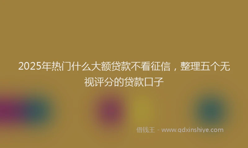 2025年热门什么大额贷款不看征信，整理五个无视评分的贷款口子
