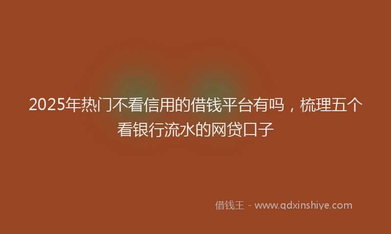2025年热门不看信用的借钱平台有吗，梳理五个看银行流水的网贷口子