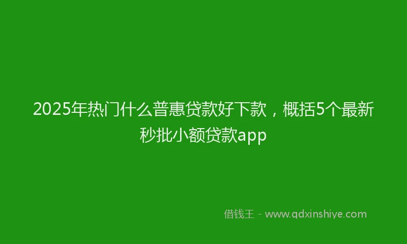 2025年热门什么普惠贷款好下款，概括5个最新秒批小额贷款app