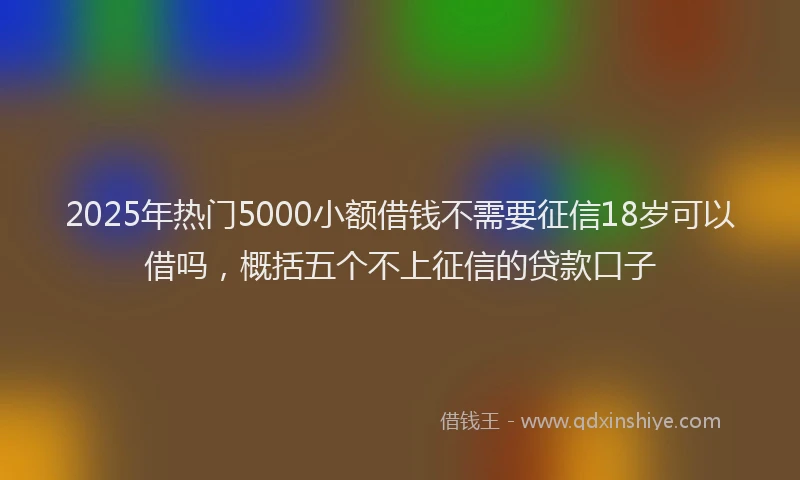 2025年热门5000小额借钱不需要征信18岁可以借吗，概括五个不上征信的贷款口子