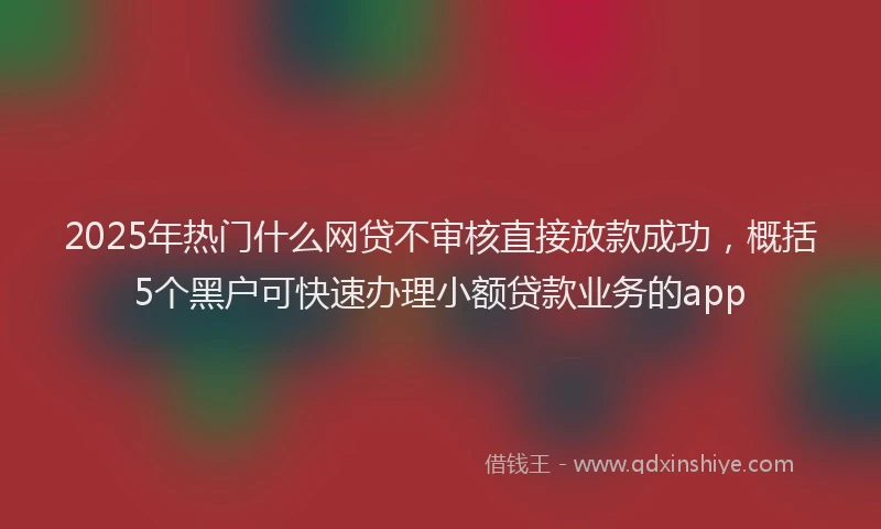 2025年热门什么网贷不审核直接放款成功，概括5个黑户可快速办理小额贷款业务的app