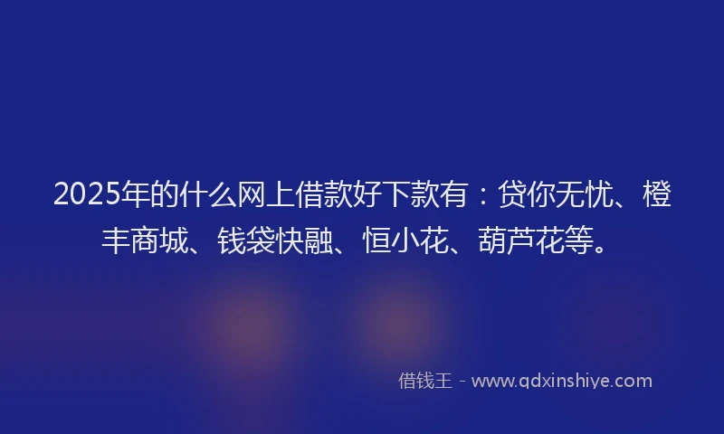 2025年的什么网上借款好下款有：贷你无忧、橙丰商城、钱袋快融、恒小花、葫芦花等。