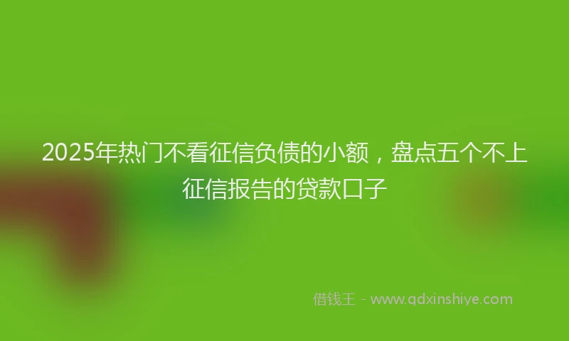 2025年热门不看征信负债的小额，盘点五个不上征信报告的贷款口子