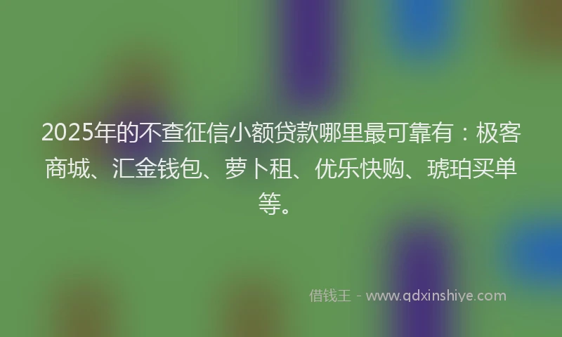 2025年的不查征信小额贷款哪里最可靠有：极客商城、汇金钱包、萝卜租、优乐快购、琥珀买单等。