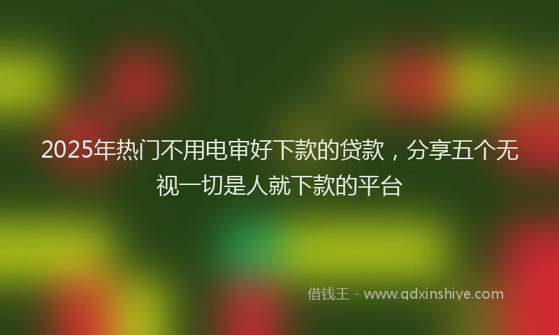 2025年热门不用电审好下款的贷款，分享五个无视一切是人就下款的平台
