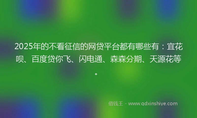 2025年的不看征信的网贷平台都有哪些有：宜花呗、百度贷你飞、闪电通、森森分期、天源花等。