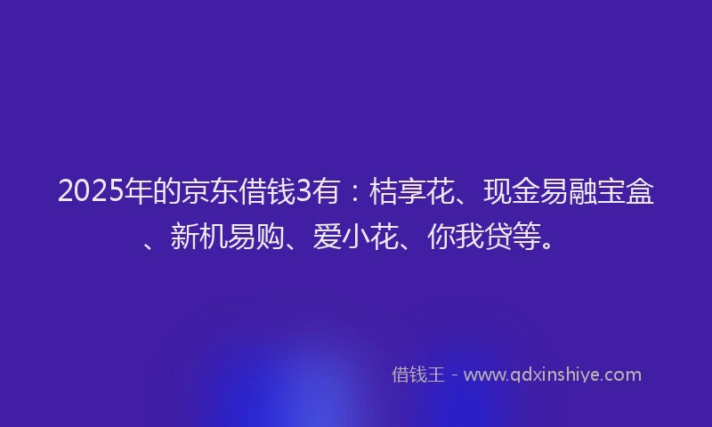 2025年的京东借钱3有：桔享花、现金易融宝盒、新机易购、爱小花、你我贷等。