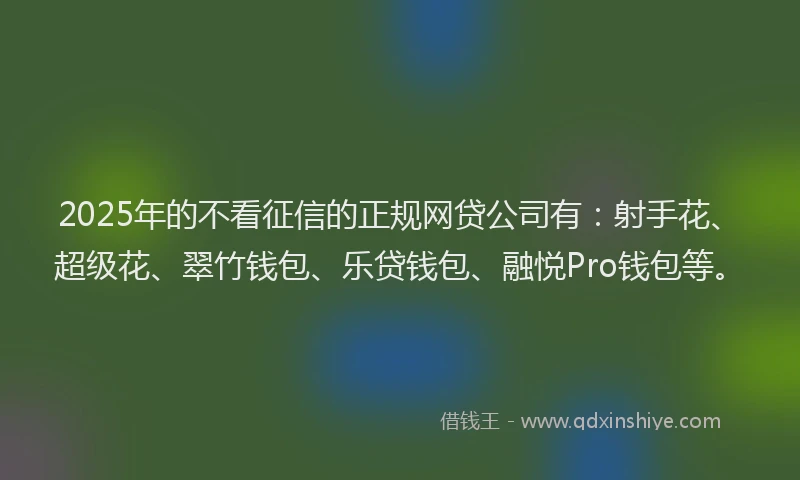 2025年的不看征信的正规网贷公司有：射手花、超级花、翠竹钱包、乐贷钱包、融悦Pro钱包等。