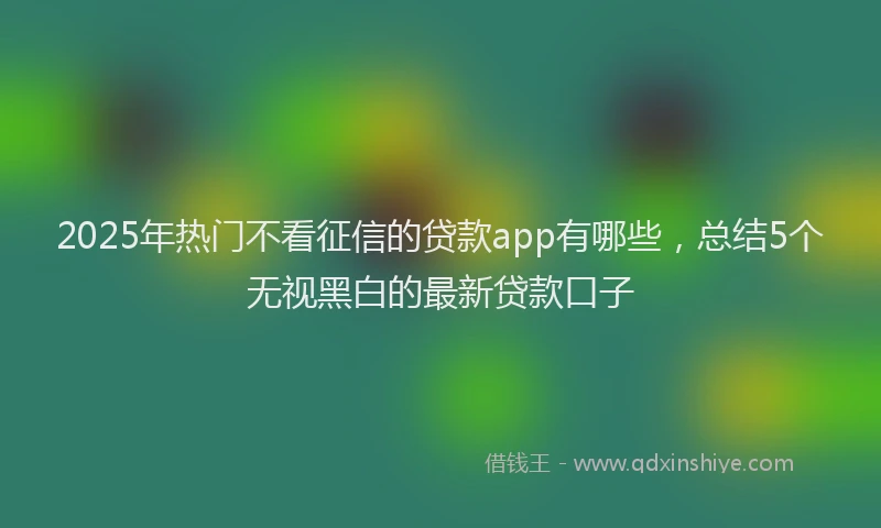 2025年热门不看征信的贷款app有哪些，总结5个无视黑白的最新贷款口子