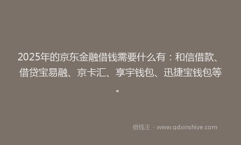 2025年的京东金融借钱需要什么有：和信借款、借贷宝易融、京卡汇、享宇钱包、迅捷宝钱包等。