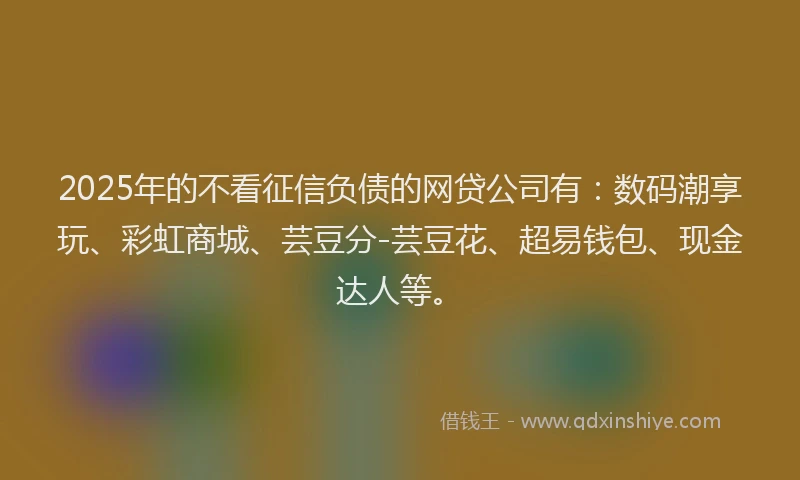 2025年的不看征信负债的网贷公司有：数码潮享玩、彩虹商城、芸豆分-芸豆花、超易钱包、现金达人等。