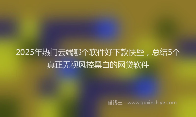 2025年热门云端哪个软件好下款快些，总结5个真正无视风控黑白的网贷软件