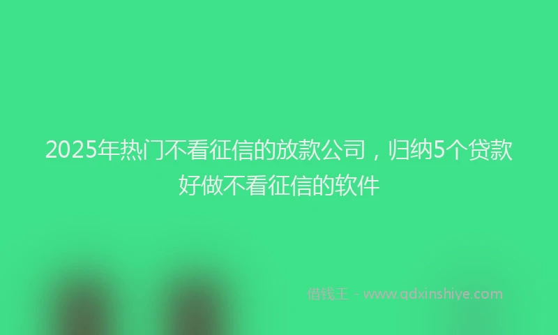 2025年热门不看征信的放款公司，归纳5个贷款好做不看征信的软件