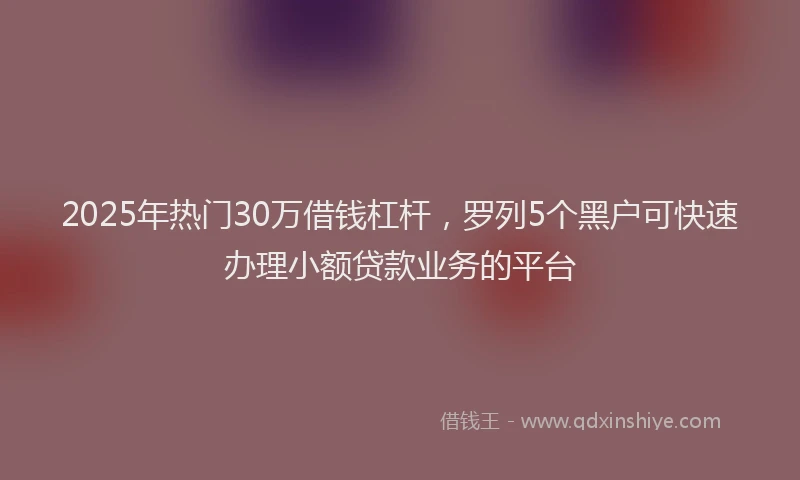 2025年热门30万借钱杠杆，罗列5个黑户可快速办理小额贷款业务的平台