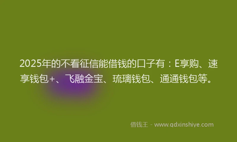 2025年的不看征信能借钱的口子有：E享购、速享钱包+、飞融金宝、琉璃钱包、通通钱包等。
