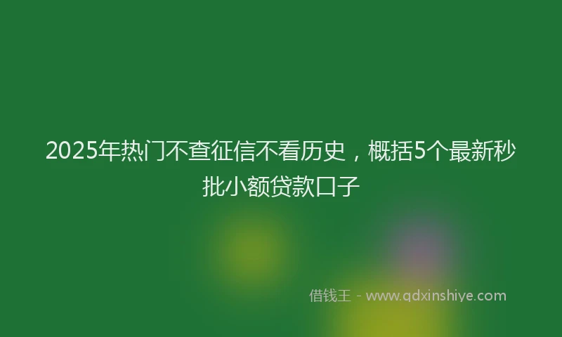 2025年热门不查征信不看历史，概括5个最新秒批小额贷款口子