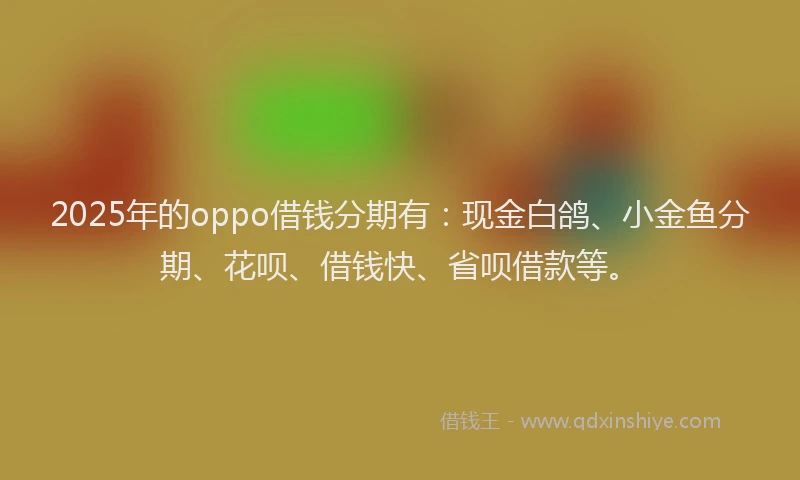 2025年的oppo借钱分期有：现金白鸽、小金鱼分期、花呗、借钱快、省呗借款等。