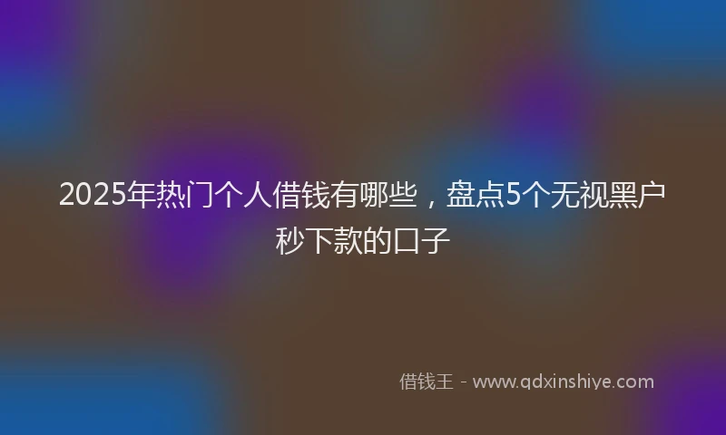 2025年热门个人借钱有哪些，盘点5个无视黑户秒下款的口子