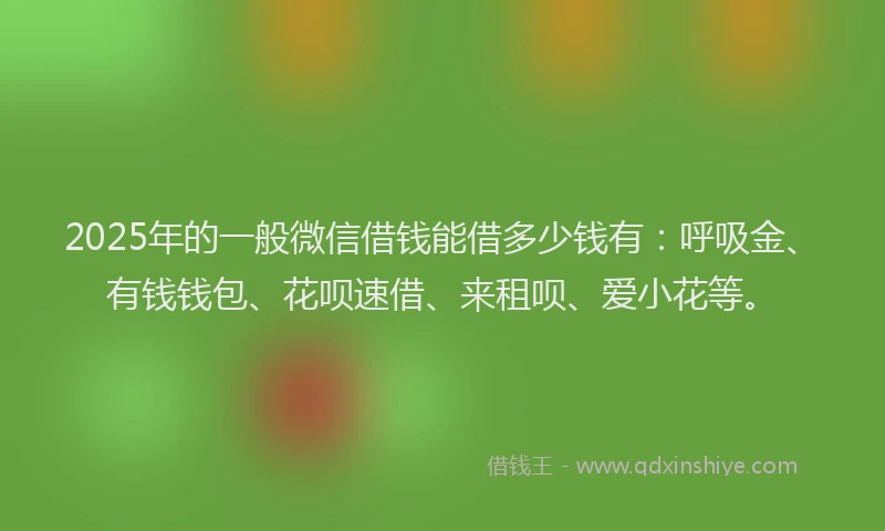 2025年的一般微信借钱能借多少钱有：呼吸金、有钱钱包、花呗速借、来租呗、爱小花等。