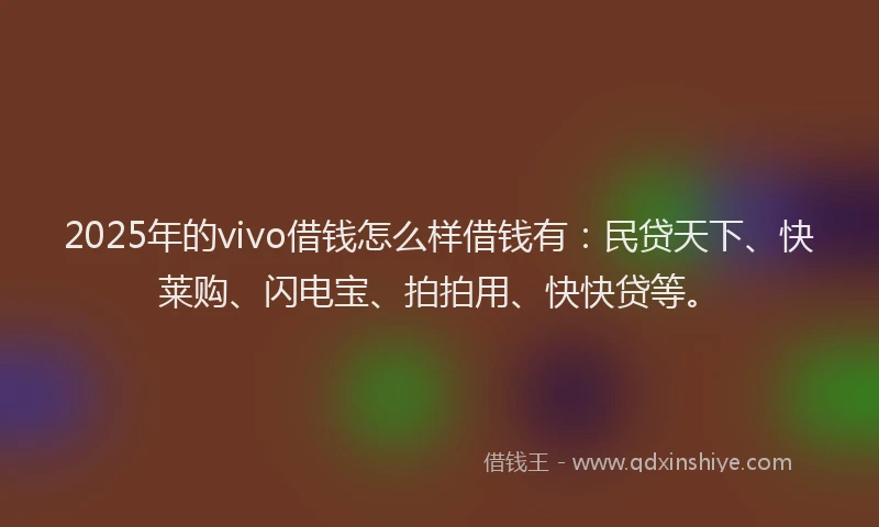2025年的vivo借钱怎么样借钱有：民贷天下、快莱购、闪电宝、拍拍用、快快贷等。