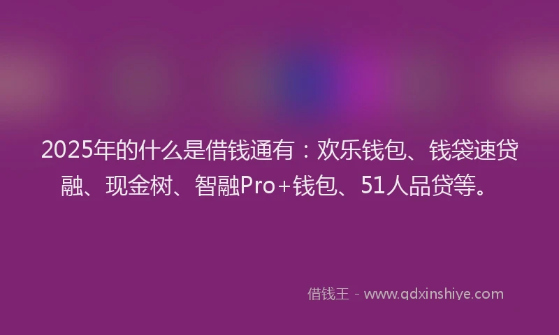 2025年的什么是借钱通有：欢乐钱包、钱袋速贷融、现金树、智融Pro+钱包、51人品贷等。