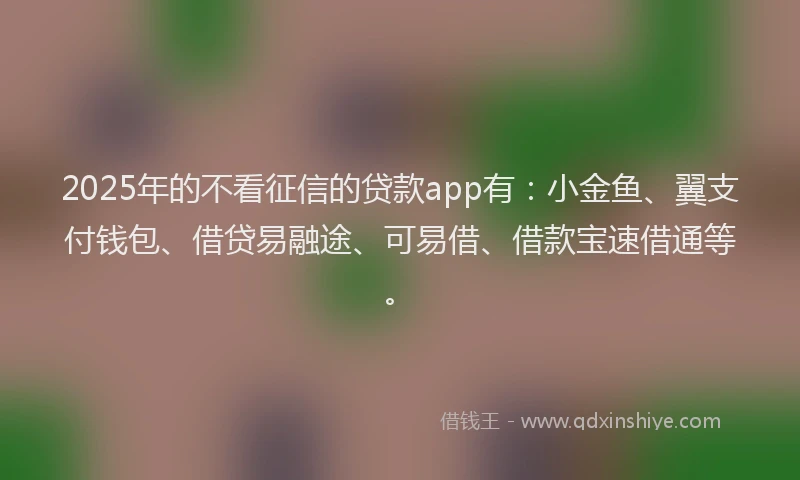 2025年的不看征信的贷款app有：小金鱼、翼支付钱包、借贷易融途、可易借、借款宝速借通等。
