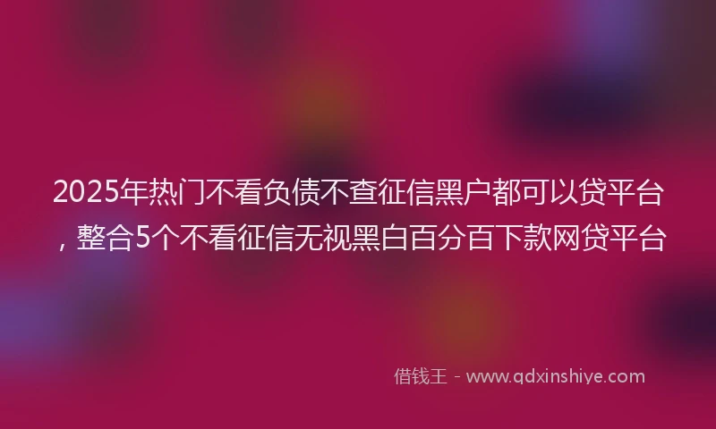 2025年热门不看负债不查征信黑户都可以贷平台，整合5个不看征信无视黑白百分百下款网贷平台