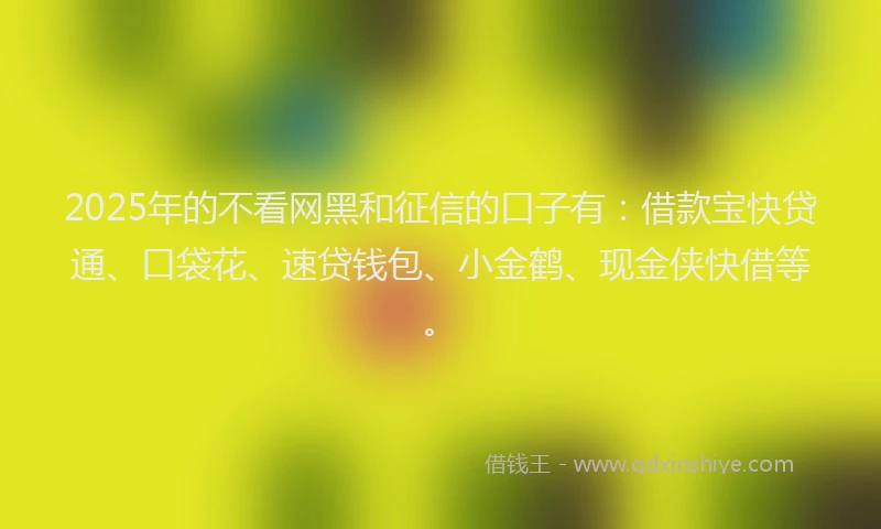 2025年的不看网黑和征信的口子有：借款宝快贷通、口袋花、速贷钱包、小金鹤、现金侠快借等。