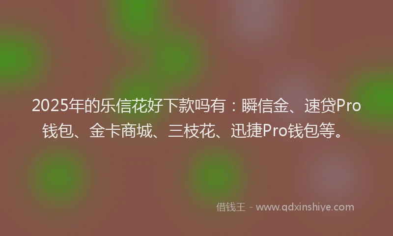 2025年的乐信花好下款吗有：瞬信金、速贷Pro钱包、金卡商城、三枝花、迅捷Pro钱包等。