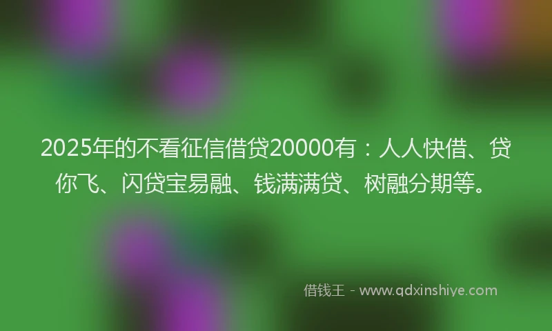 2025年的不看征信借贷20000有：人人快借、贷你飞、闪贷宝易融、钱满满贷、树融分期等。