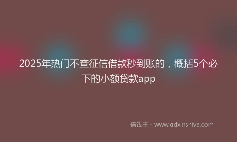 2025年热门不查征信借款秒到账的，概括5个必下的小额贷款app