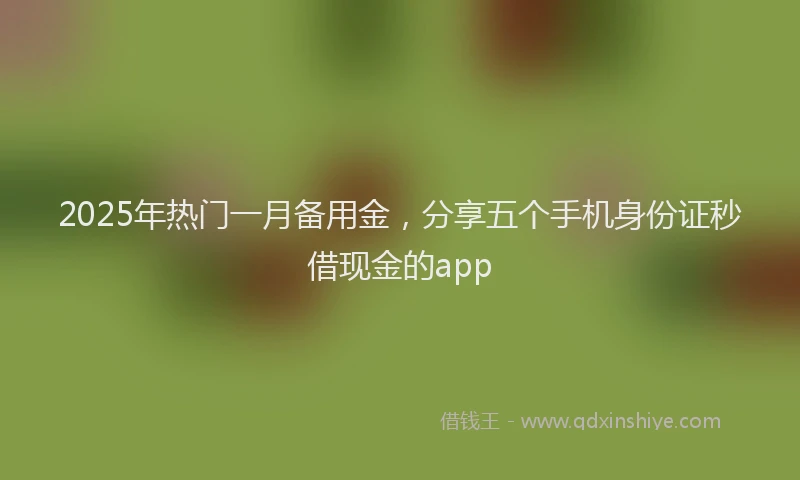 2025年热门一月备用金，分享五个手机身份证秒借现金的app