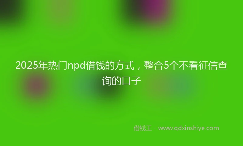 2025年热门npd借钱的方式，整合5个不看征信查询的口子
