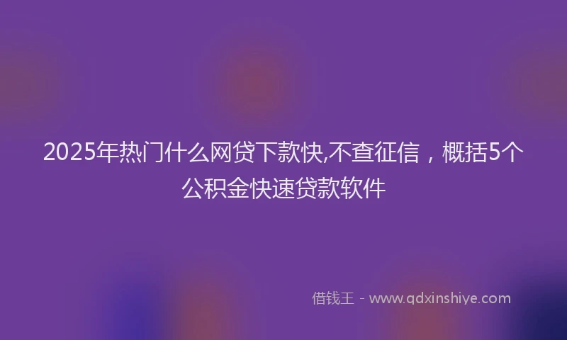 2025年热门什么网贷下款快,不查征信，概括5个公积金快速贷款软件