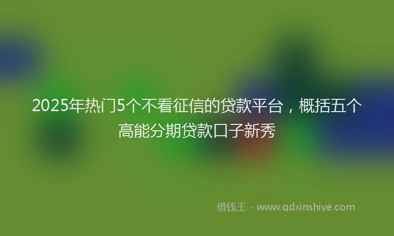 2025年热门5个不看征信的贷款平台，概括五个高能分期贷款口子新秀