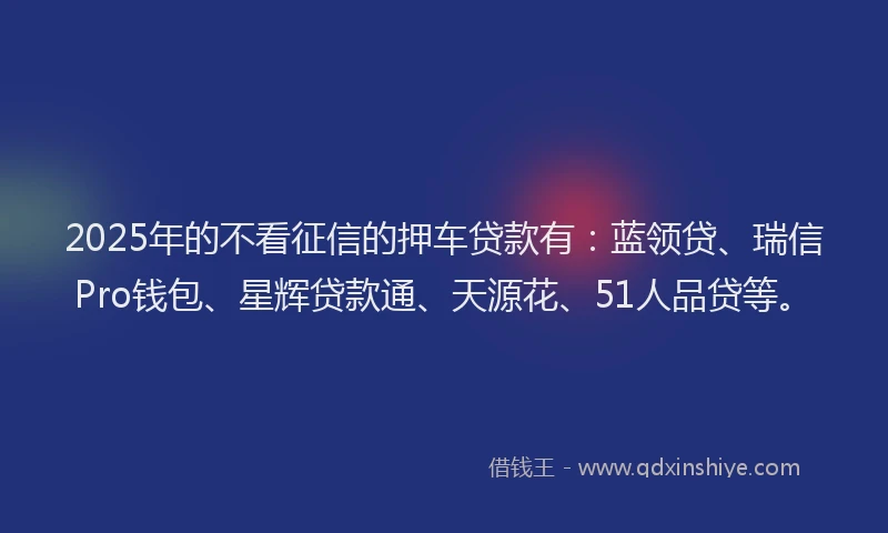 2025年的不看征信的押车贷款有：蓝领贷、瑞信Pro钱包、星辉贷款通、天源花、51人品贷等。