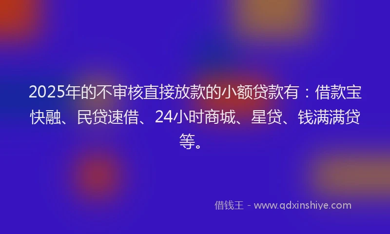 2025年的不审核直接放款的小额贷款有：借款宝快融、民贷速借、24小时商城、星贷、钱满满贷等。