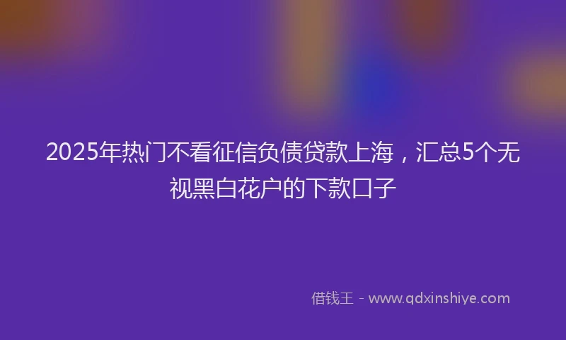 2025年热门不看征信负债贷款上海，汇总5个无视黑白花户的下款口子