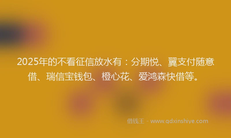 2025年的不看征信放水有：分期悦、翼支付随意借、瑞信宝钱包、橙心花、爱鸿森快借等。